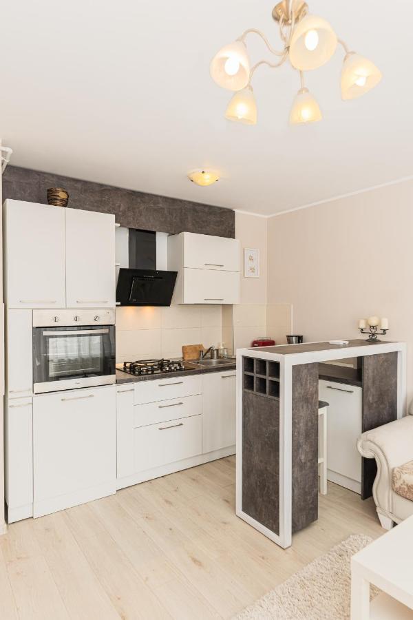 Апартаменты Apartament Belles Roses Брашов Экстерьер фото